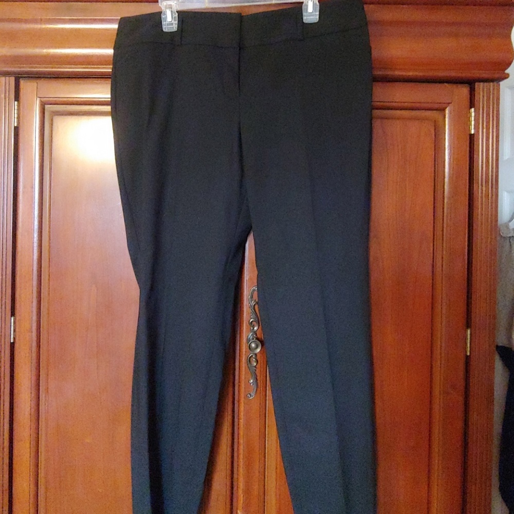 The Limited Exact Stretch Skinny Leg Pants, 16L